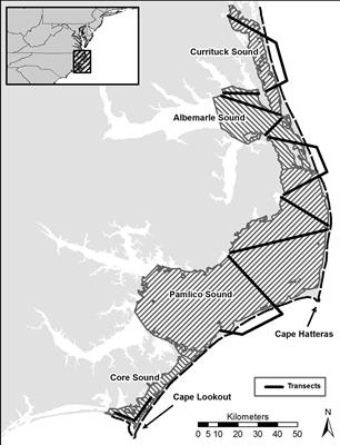 Estimating potential menhaden consumption by double-crested cormorants along the coast of North Carolina